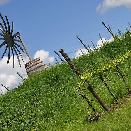 Hotel-Restaurant Schweinberger Stetten Екстериор снимка